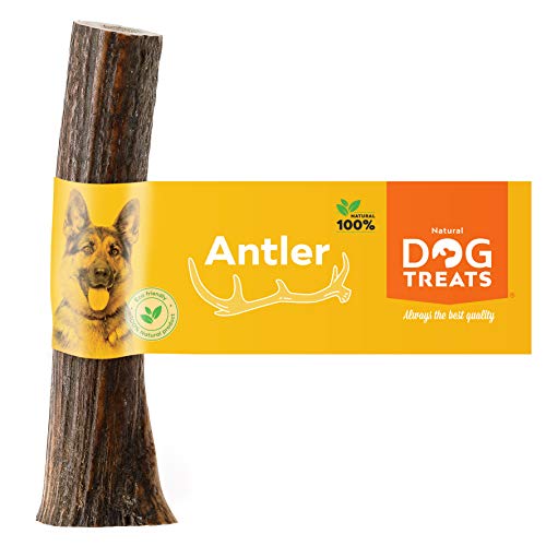 100% Natural Asta de Ciervo para Perro Cuerno Masticar Hueso Juguete, Tamaño X-Large