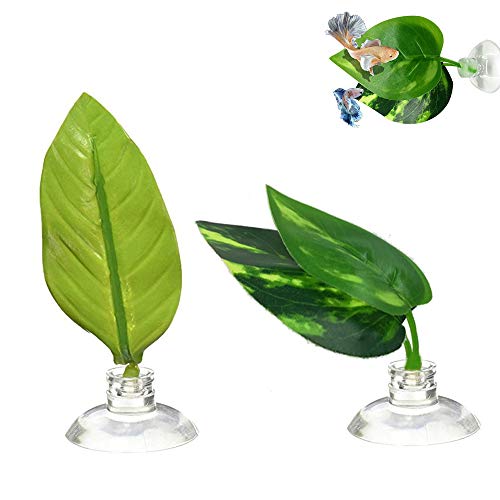 2 Piezas Hoja de Betta, Camas de Betta Hamaca de Hoja, Cama de Hojas Artificiales Ornamentales de Una o Dos Capas Accesorios de Acuario, Hojas de Simulación con Ventosa, Decoración de Pecera