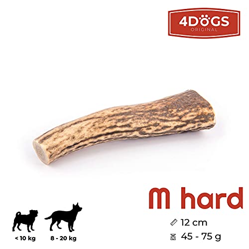 4 Dogs Original Juguete masticable asta de Ciervo para Perros - M - 12 cm Entero - Hueso masticable Hueso para Perros astas 100% Natural - 1 Pieza