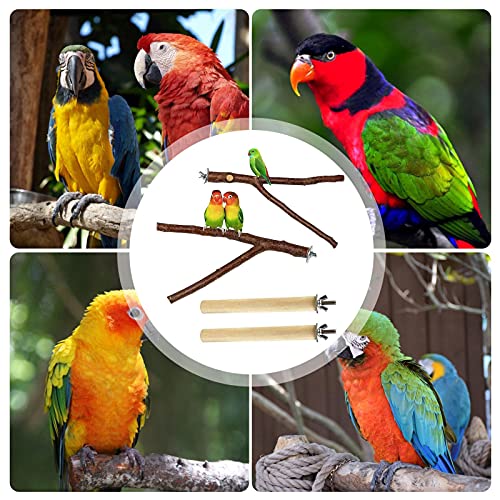 4 Piezas Palo Posadero Perchas para Loros Soporte para Pájaros Plataforma De Rama De Madera Juguetes Forma Al Azar Columpio De Pájaros 3.94-7.87 Pulgadas Jaula Accesorio para Pájaros Cacatúa