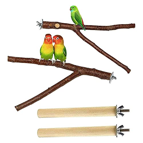 4 Piezas Palo Posadero Perchas para Loros Soporte para Pájaros Plataforma De Rama De Madera Juguetes Forma Al Azar Columpio De Pájaros 3.94-7.87 Pulgadas Jaula Accesorio para Pájaros Cacatúa