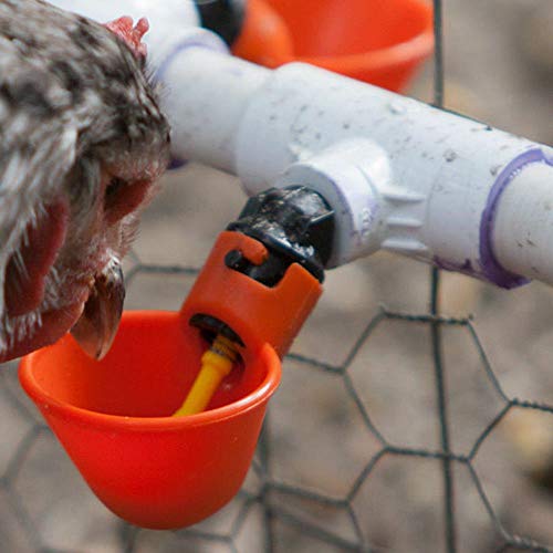 4Pcs del Pezón Bebederos Roedores Ganso Pato Pájaro De Las Codornices De Pollo Alimentadores Pezones Automática Granja Avícola Waterer Sistema De Alimentación