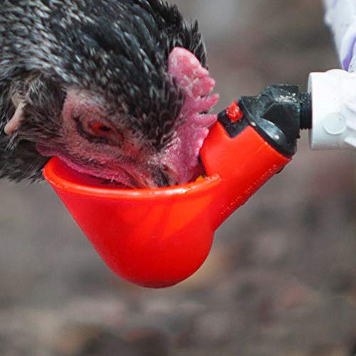 4Pcs del Pezón Bebederos Roedores Ganso Pato Pájaro De Las Codornices De Pollo Alimentadores Pezones Automática Granja Avícola Waterer Sistema De Alimentación