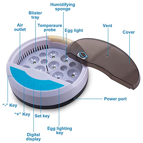 9 huevos Incubadora doméstica Incubadora digital Temperatura ajustable, calentador de cerámica tipo táctil con esponja humidificadora Pollo Pato Ganso Huevos de codorniz