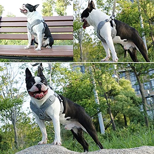 ABRRLO Arnés para perros pequeños y medianos de malla reflectante, ajustable, suave, acolchado, transpirable