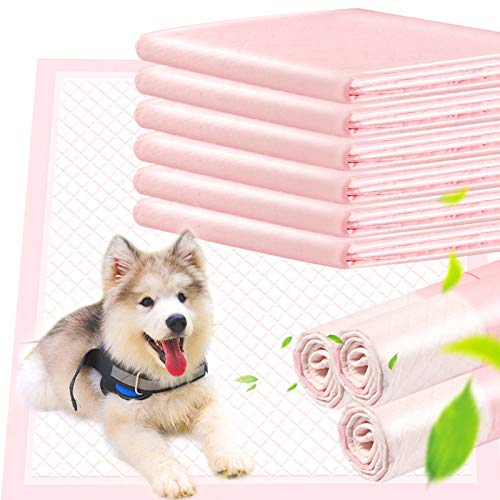 ACE2ACE Empapadores Perros, Engrosada Almohadillas De Entrenamiento Para Mascotas, Súper Absorbente Desechables Empapadores Para Entrenamiento Para 100% Libre De Fugas(10 Unidades-60 * 60CM)