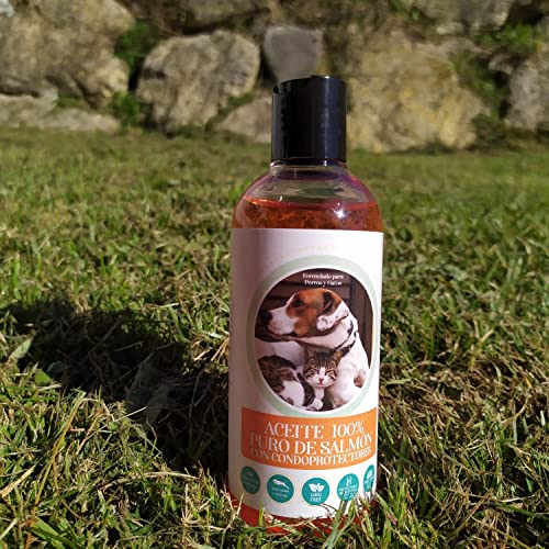 Aceite de Salmon para Perros , Perro , Gato, Caballos , Hurones . Suplemento Barf Omega 3 6 9 y Condroprotectores. Mejora la Salud de la Piel y Articulaciones 100% Natural Premium Ibericdog 250ml