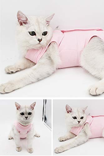 AEITPET Traje de recuperación Profesional para Gatos, Gata Camiseta de recuperación, heridas Abdominales Profesional para heridas, de recuperación quirúrgica Ropa Chaleco de pequeños Gatos (L, Rosado)