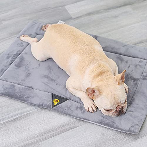 AJFWEJFcwtz Manta Lmpermeable Perro Cama for Perros Maleta Materia Materna Materna Manta Manta Cama Cat Siller Manta Manta Manta Comodidad (Color : Gray, Size : S)