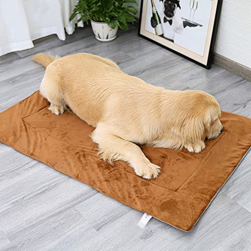 AJFWEJFcwtz Manta Lmpermeable Perro Cama for Perros Maleta Materia Materna Materna Manta Manta Cama Cat Siller Manta Manta Manta Comodidad (Color : Gray, Size : S)