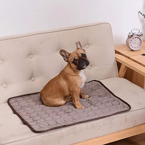 AJFWEJFcwtz Manta Lmpermeable Perro Matera de perro enfriamiento de verano Alfombrilla de verano for perros Cat Manta Sofá Sofá Mascota transpirable Cama for perros Lavable for perros pequeños Pequeño