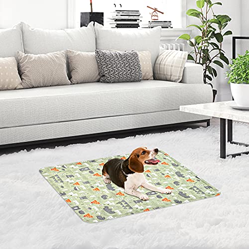 Alfombra Refrescante para Perros,Manta Refrigerante Gato,Alfombrilla de Refrigeración para Animales,Gel No Tóxico,Autoenfriante, Sofás,Perreras,Piso (50x60cm, Verde)