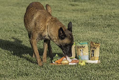 Alimento Natural casero para Perros, húmedo con Carne Fresca y Verduras Frescas - 90% Carne Knatur (12x600gr) (Mix (Pollo - salmón))