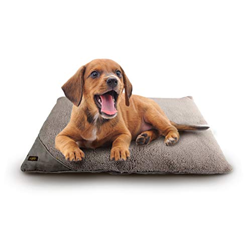 ALL FOR PAWS AFP5352 Colchoneta para Perros Pillow Lamb Dog, L, Gris