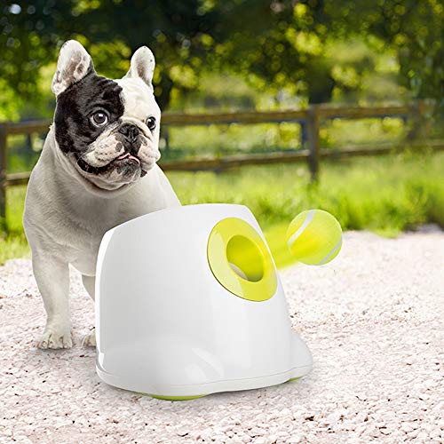 All For Paws Hyperfetch Ultimate lanzador de juguete interactivo automático lanzador de pelotas de perro, máquina de lanzamiento de pelotas de tenis entrenamiento , 3 pelotas incluidas (estilo Mini)