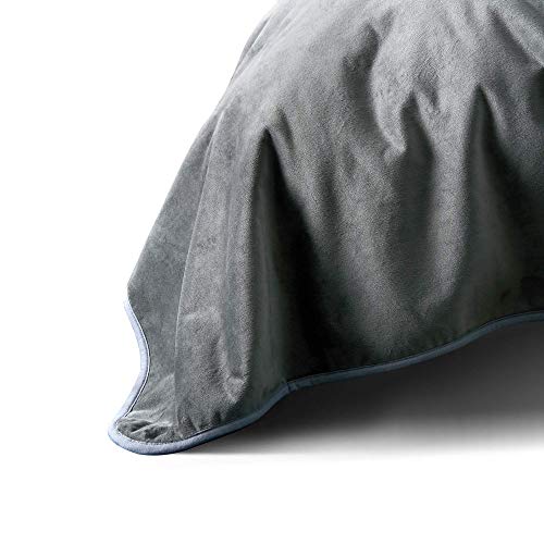 ALLISANDRO Manta Impermeable para Perros [200x150cm, Gris], Funda a Prueba de Mascotas para el sofá Cama Asiento de automóvil, para Cojines Sherpa, para Perros pequeños, Grandes y pequeños