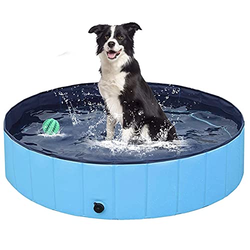 ALLWIN Piscina Infantil para Perros, Piscina Plegable para Mascotas Y Niños, Bañera De PVC Antideslizante, Piscina Infantil De Plástico Grande, Regalo con Bola De Juguete para Perros (160 × 30 Cm)