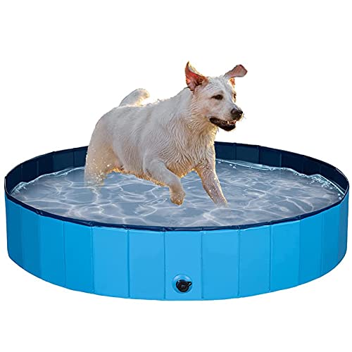 ALLWIN Piscina para Perros Plegable para Perros Grandes Piscina de plástico Duro para niños, bañera portátil para Mascotas Piscina al Aire Libre, para Perros, Gatos, niños (120 × 30 cm)