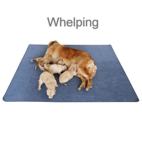 Almohadillas antideslizantes para perros, lavables, de rápida absorción, reutilizables, resistentes al agua para entrenamiento, viajes, parto, inauguración, incontinencia, juego, 65 "x 48"