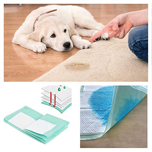 Almohadillas De Entrenamiento para Cachorros Paquete De 50 (40 x 60 cm) Nuevo Tamaño Superabsorbente Esta Nueva Solución Exclusiva De 6 Capas Protege Las Alfombras De Pisos Laminados De Olores