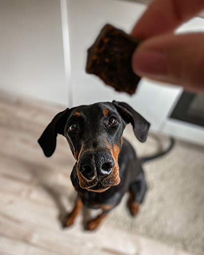 alphazoo Cubo de energía Ternera + arándanos XXX g, golosina para Perros sin Cereales, Snack para Perros, Snack de adiestramiento Snack de Carne Saludable para la recompensa con monoproteína