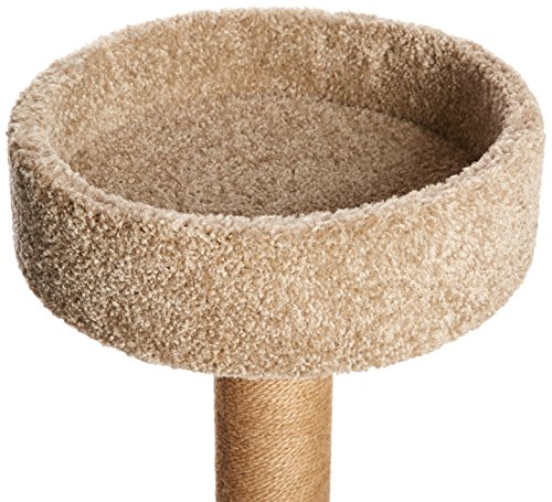 Amazon Basics - Árbol de actividades con poste rascador para gatos, Mediano