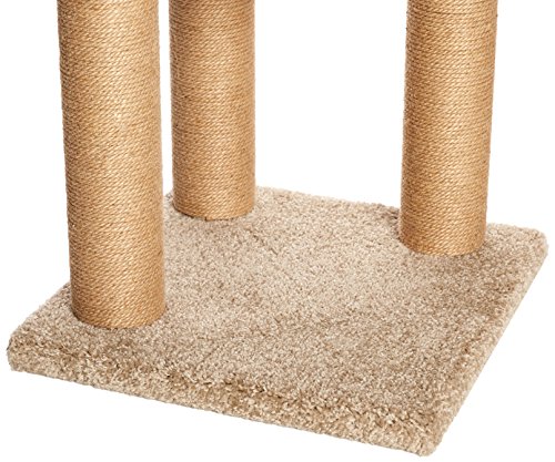 Amazon Basics - Árbol de actividades con poste rascador para gatos, Mediano