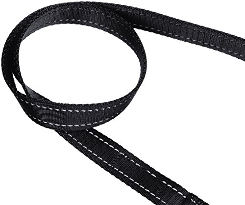 Amazon Basics - Correa para perro con asa acolchada - 1,52 m, Negro