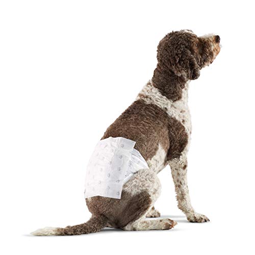 Amazon Basics Male Dog Wrap/Disposable Diapers, Large - Pack of 50