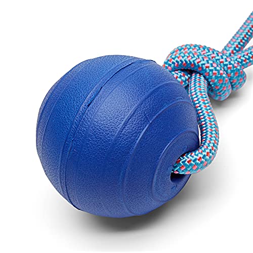 Amazon Basics - Pelotas flotantes para mascotas EVA (paquete de 3)