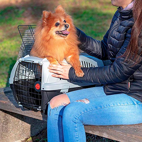 Amazon Basics - Transportín de mascotas prémium con 2 puertas para gatos y perros, 58 cm