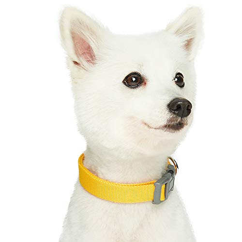 Amazon Brand - Umi Classic - Collar para Perros L, Cuello 45-66 cm, Collares Ajustables para Perros (Amarillo)