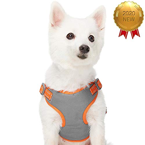 Amazon Brand - Umi Pastel - Arnés Tipo Chaleco para Perros Reflectante L, Contorno del Pecho 74-98 cm, arneses Ajustables para Perros (Naranja Calabaza)