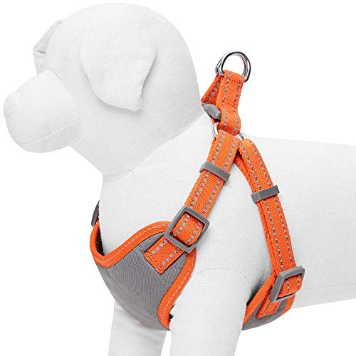 Amazon Brand - Umi Pastel - Arnés Tipo Chaleco para Perros Reflectante L, Contorno del Pecho 74-98 cm, arneses Ajustables para Perros (Naranja Calabaza)