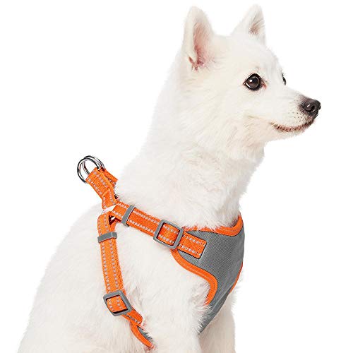 Amazon Brand - Umi Pastel - Arnés Tipo Chaleco para Perros Reflectante L, Contorno del Pecho 74-98 cm, arneses Ajustables para Perros (Naranja Calabaza)