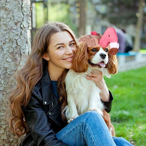 Amosfun Gorro de flamenco para perro, diseño de peluche, con agujeros para las orejas, accesorio de disfraz para fiestas