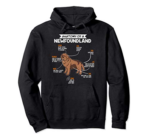 Anatomy Of A Newfoundland Dog Regalo Terranova Perro Sudadera con Capucha