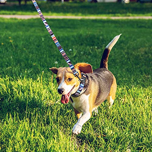 Anbeer Collares Ajustable y Correa 150cm para Perros Grandes, Medianos y Pequeños Entrenamiento Caminar Al Aire Libre (Rayas-L)