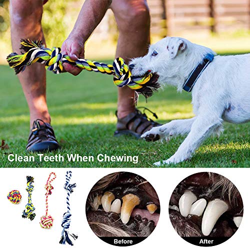 AnCoSoo Juego de 4 juguetes de cuerda para perro, bola de cuerda, nudo de algodón, juguete interactivo para perro, juguetes de cuerda de masticar duraderos para dentición, tirar y jugar