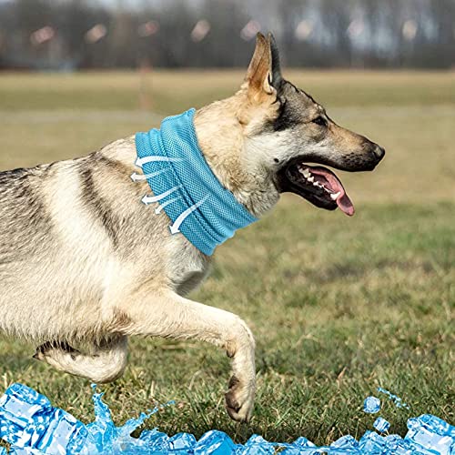 Andana para Perro,Collar Refrigerante para Mascotas,Collar de Enfriamiento para Perros,Collar Refrigerante Perro,Bandana para Perros Pequeños,Pañuelo De Mascotas,Refrescar al Perro en Verano (L)