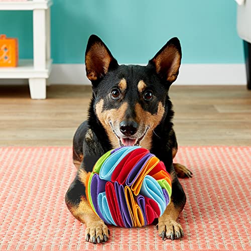 Anezka Pelota de voluta de alta calidad, juguete interactivo para perros, alimentación lenta de aprox. 15 cm de diámetro, lavable