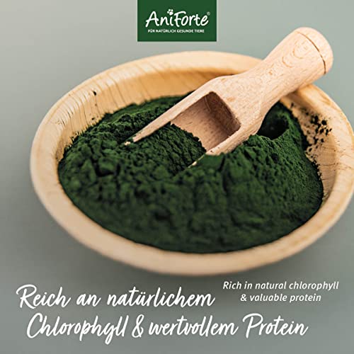 AniForte Espirulina Bio en polvo de para perros y gatos 250g - Las microalgas ayudan a la piel y pelaje, así como al sistema inmunológico y a los procesos metabólicos