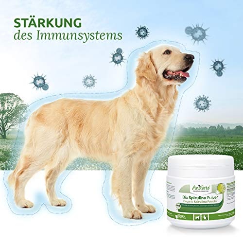 AniForte Espirulina Bio en polvo de para perros y gatos 250g - Las microalgas ayudan a la piel y pelaje, así como al sistema inmunológico y a los procesos metabólicos