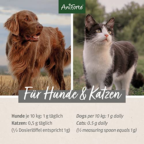 AniForte levadura Pura de Cerveza en Polvo para Perros y Gatos 250g - Pelo Brillante y Fuerte, Piel Vital, Rica en vitaminas B, minerales, oligoelementos, Producto Natural