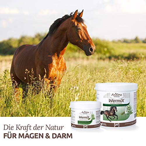 AniForte WermiX en Polvo para Caballos y Ponis 250g - Producto Natural para Antes, Durante y después de la infestación de Gusanos, el ajenjo y Las Hierbas Naturales ayudan al estómago y el intestino