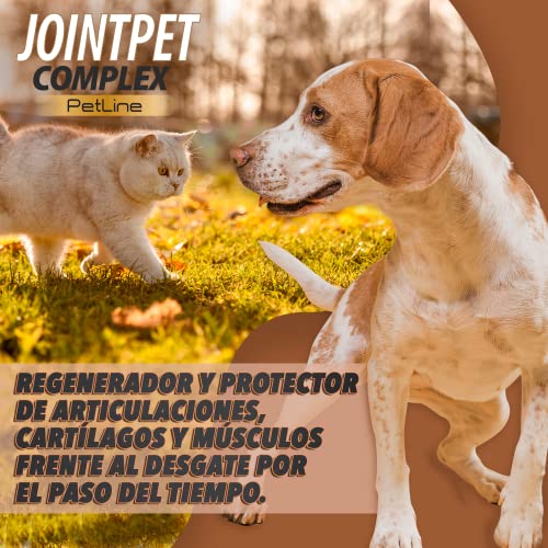 Antiinflamatorio para Perros y Gatos | Combate el Dolor y la inflamación en tu Mascota | Colágeno + MSM + cúrcuma + condroitina y magnesio para recuperar su Movilidad | 50 Unidades sin azúcar