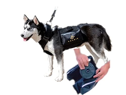 Anubis Pet Arnés Deportivo Performance para Perros con Bolsillos para Poner Peso Extra Resistente (XL)