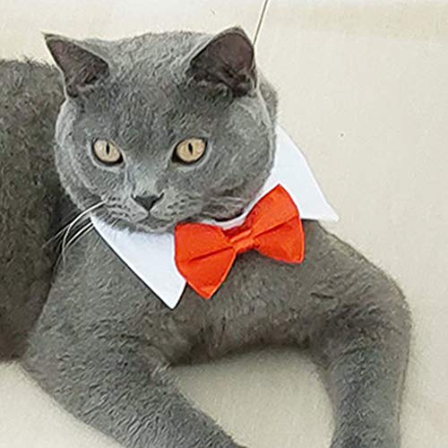 Apofly Suministros para Mascotas Gato Pajarita Ajustable Mascotas Traje del Lazo del Gato del Perro Corbata Formal Collar De Perro para Perros Pequeños Cachorro Y Estética Accesorios Rojo S