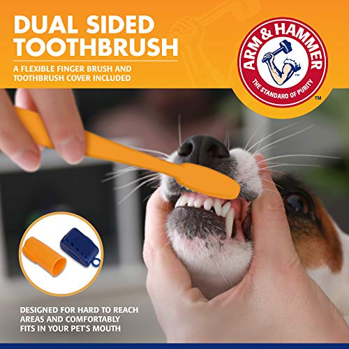 Arm & Hammer Tartar Control Dental Kit para Perros, Banana Mint White