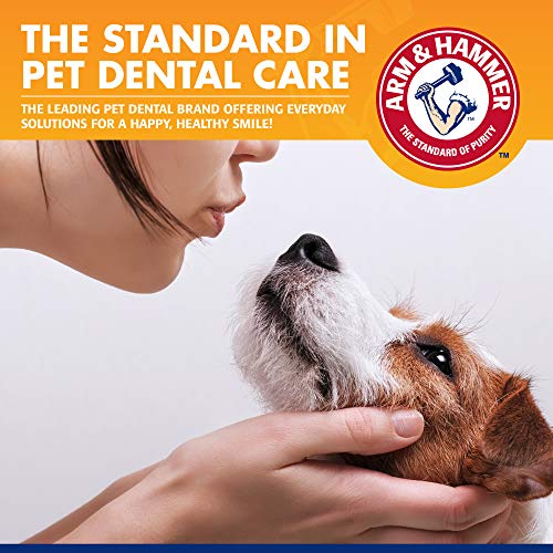 Arm & Hammer Tartar Control Dental Kit para Perros, Banana Mint White